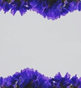 Vancouver skyline with mountains — IPTV British Columbia service area