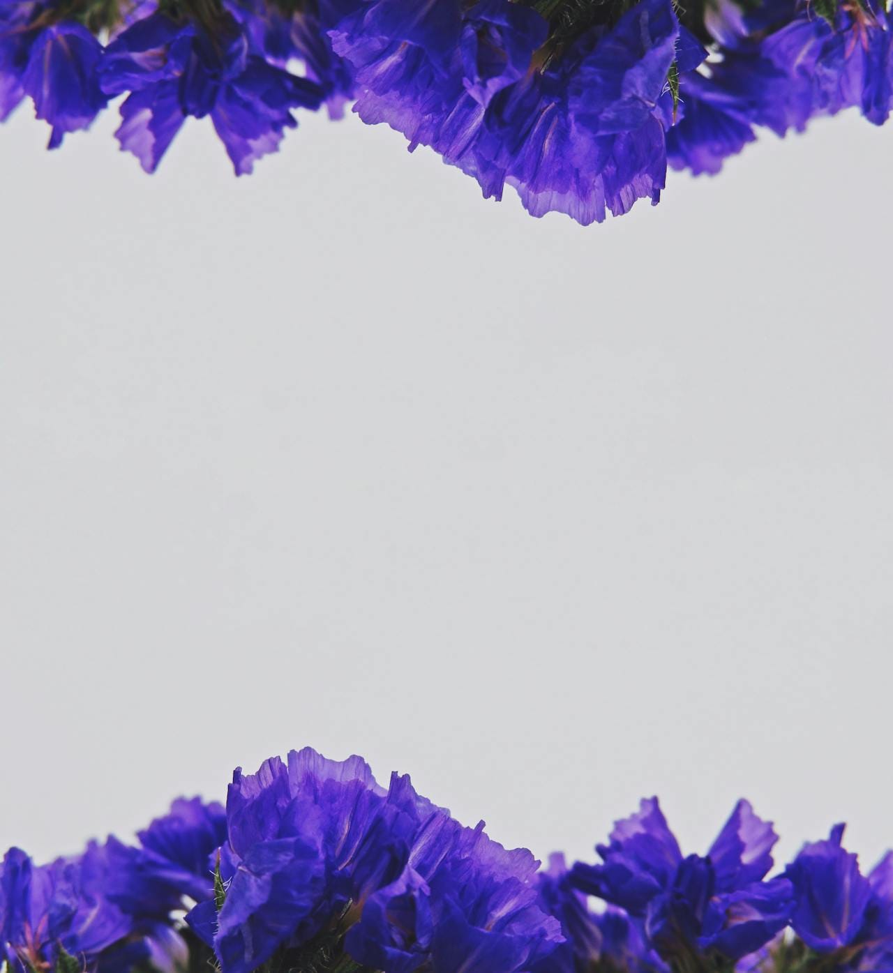 IPTV streaming in Vancouver British Columbia with mountain skyline